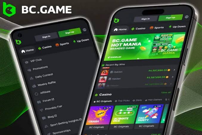 BC.Game Argentina Casino A New Era of Online Gaming